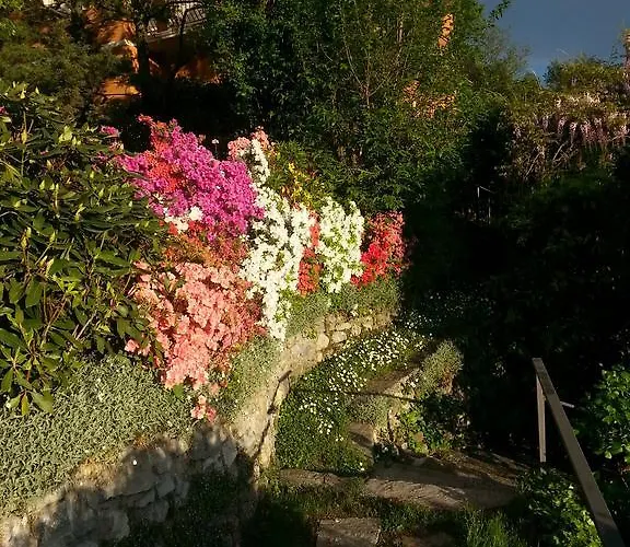 度假居 勒维奥莉特度假公寓 布鲁纳特
