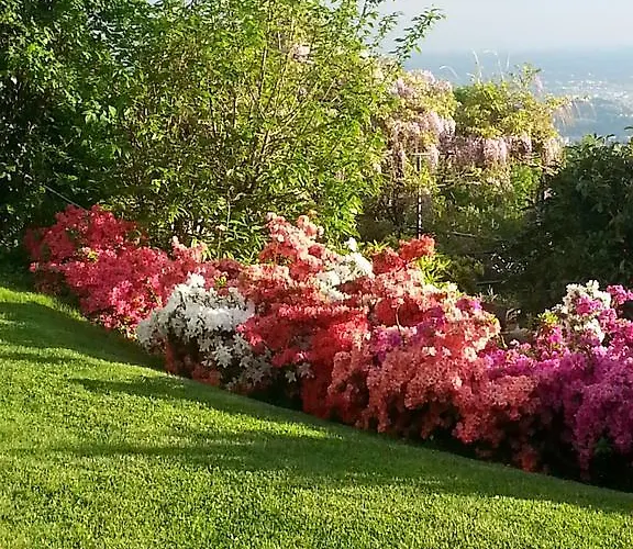 Vakantiehuis Le Violette Brunate