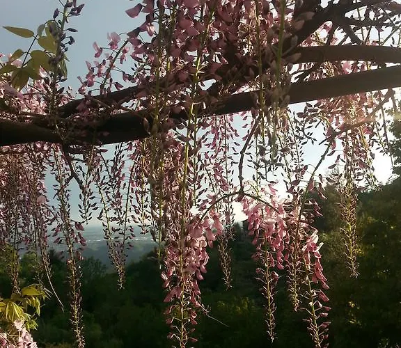 勒维奥莉特度假公寓 * 布鲁纳特