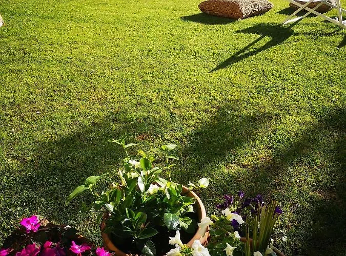 勒维奥莉特度假公寓