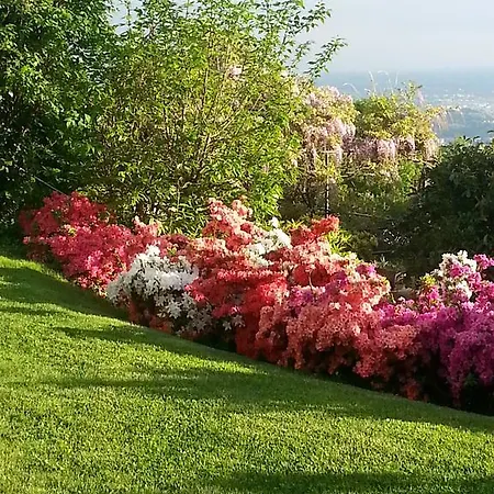 בית נופש Le Violette ברונאטה