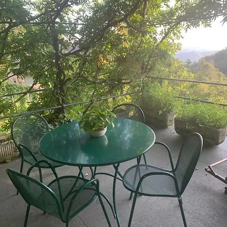 Le Violette * ברונאטה